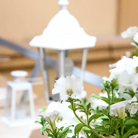 Regina Elena Bed and Breakfast 3*